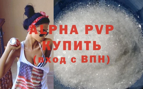 стаф Богородицк