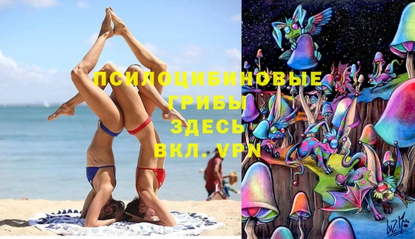 соль курить ск Бородино