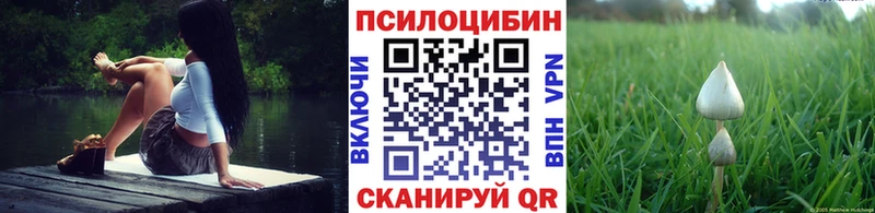 Псилоцибиновые грибы прущие грибы  блэк спрут маркетплейс  Канск 